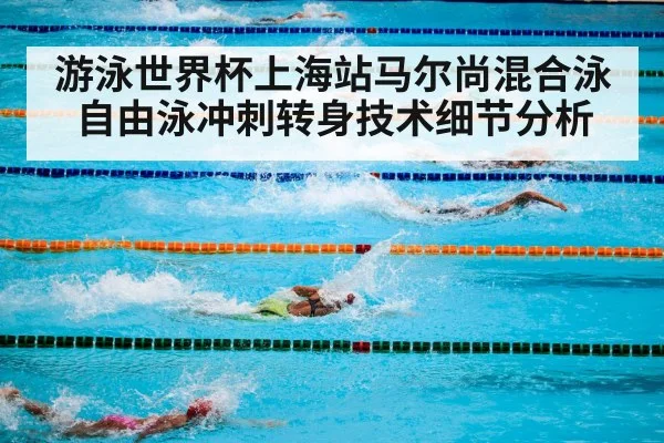 游泳世界杯上海站马尔尚混合泳自由泳冲刺转身技术细节分析（HTH）